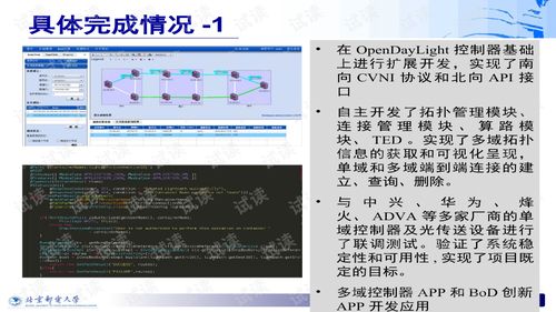 軟件定義光網絡 sdon 原型系統開發與演示 項目初驗匯報
